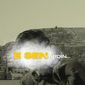 E SEN VARDIN