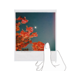 君と、秋の京都で