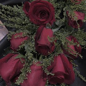 合葬（翻自 姜云升）