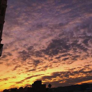 【FREE】:D 无水印