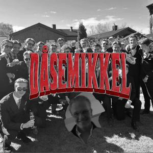 DÅSEMIKKEL HJEMMESNEKK (feat. SidXthaPlug)
