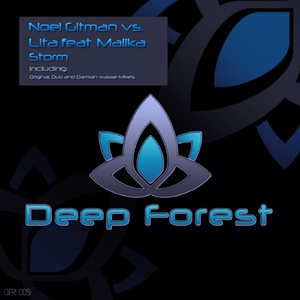 Storm (Original Mix)