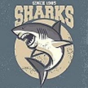 鲨凋（吉他弹唱）