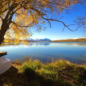 东归复得采真游