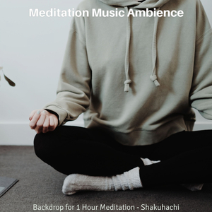 Superlative Shakuhachi and Harps - Vibe for Prana
