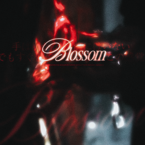 BLOSSOM（cover：ENHYPEN）