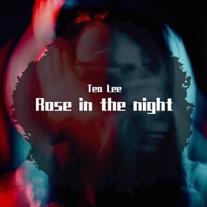 Rose in the night