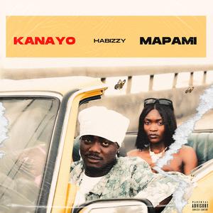 Mapami