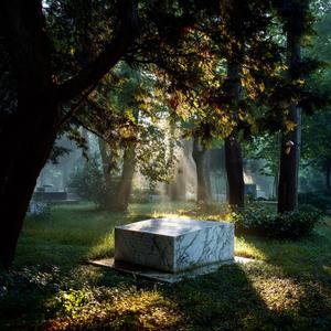 Underground Light / 地下に咲く静かな光