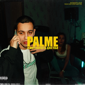 Я могу украсть для тебя