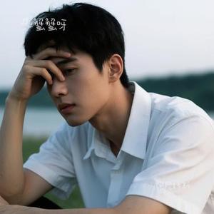 阿尼姆斯 (Cover 杨紫怡)