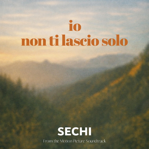 Io Non Ti Lascio Solo