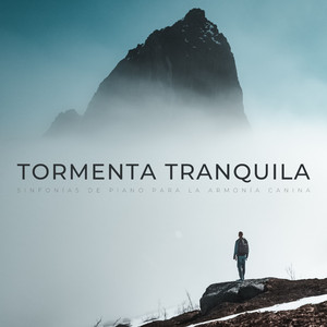 Vibraciones De Piano Pacífico Para Perros