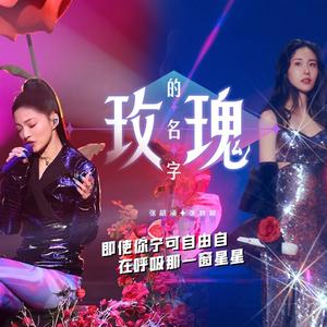 玫瑰的名字(live|试听版)