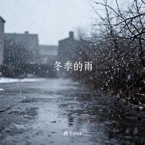 冬季的雨