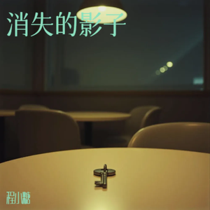 消失的影子