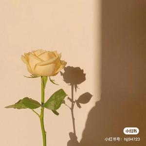 IMG_1401网易云