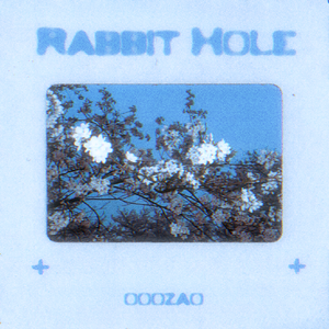 Rabbit Hole