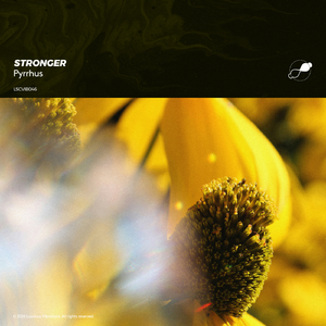 Stronger (Ambient Mix)