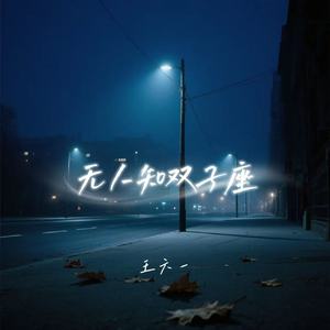 无人知双子座