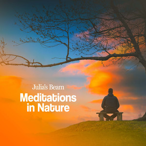 Beauty In The Forest