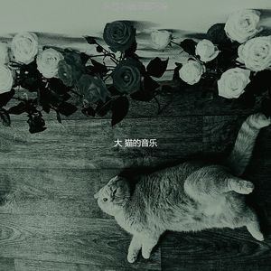 精彩压力大的猫环境