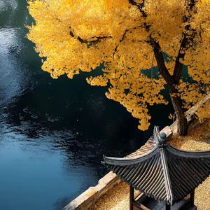 [FREE]“晕染”90sRnb x 中国风 x 周杰伦 type beat