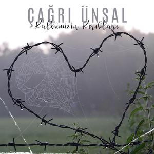 Kalbimizin Kırıkları