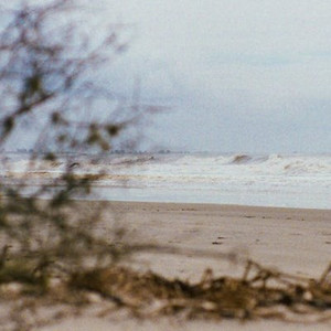 当我拿起笔写下第一句之后