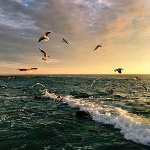 Mr.Da-Nos-Ohlala -Radio Edit--vk.com