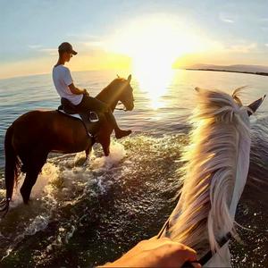 这是一封离别信（DJ版）