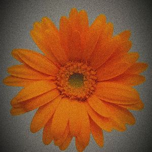 寻花 （prod by cesga）