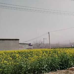 在记忆里寻找线索