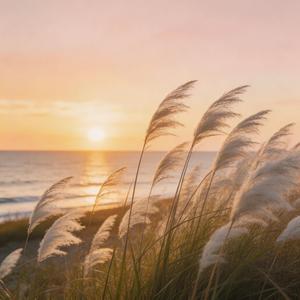 远航的帆（看远航的人都扬起了帆）