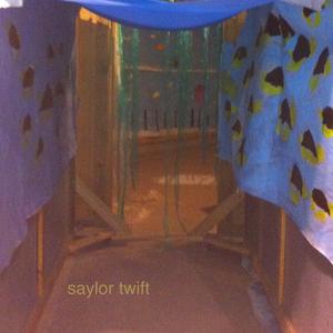 Saylor Twift