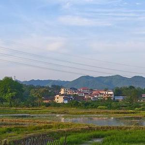 梁山伯与祝英台 (Cover 卓文萱 & 曹格)