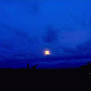 或る日の想ひ出 (feat. icnn & suzuya)