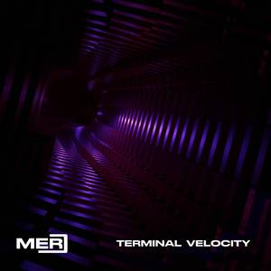 Terminal Velocity