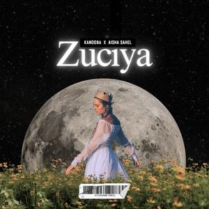 Zuciya (feat. Aisha Sahel)