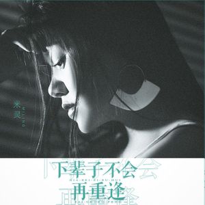 下辈子不会再相逢