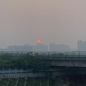 kiss me kiss me（cover：蜷花仕女）