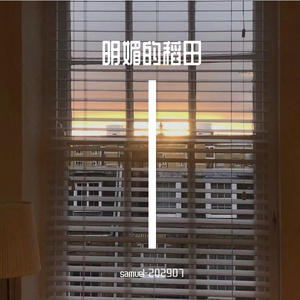 明媚的稻田