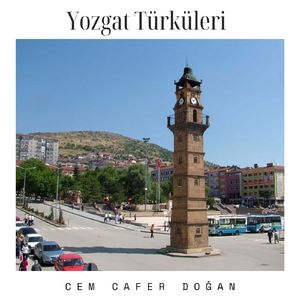 Bir Çift Turna Gördüm