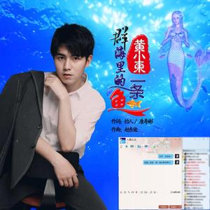 群海里的一条鱼【歌曲最终版】