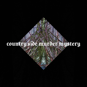 Lit Fire (Remember Our Deal)