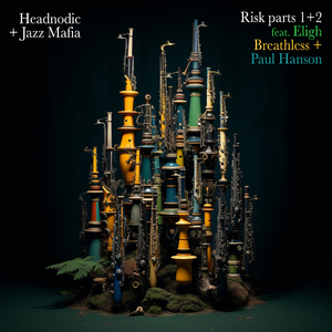 Risk Pt 2