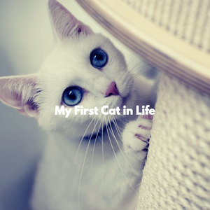 Joyful Jazz Saxophone - Vibe for Jazz Experiences