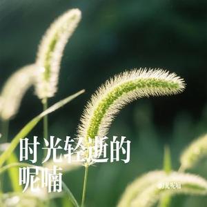 时光轻逝的呢喃