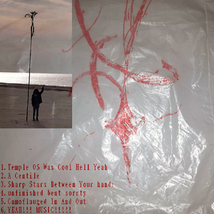 Temple Os Was Cool Hell Yeah