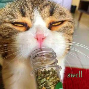 走秀现场freestyle 其十四